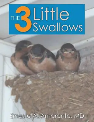 Die 3 kleinen Schwalben - The 3 Little Swallows