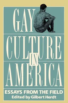 Schwule Kultur in Amerika: Essays aus der Praxis - Gay Culture in America: Essays from the Field