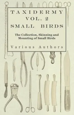 Taxidermie Band 2 Kleine Vögel - Das Sammeln, Häuten und Montieren von kleinen Vögeln - Taxidermy Vol. 2 Small Birds - The Collection, Skinning and Mounting of Small Birds