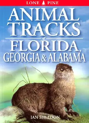 Tierspuren in Florida, Georgia und Alabama - Animal Tracks of Florida, Georgia, Alabama