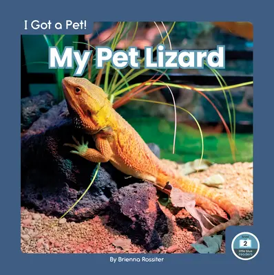 Mein Haustier Eidechse - My Pet Lizard