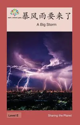 Ein großer Sturm ist im Anmarsch: Ein großer Sturm - 暴风雨要来了: A Big Storm