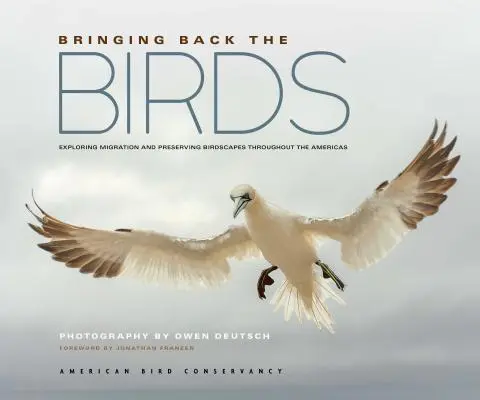 Bringing Back the Birds: Erforschung der Migration und Erhaltung von Vogellandschaften in ganz Amerika - Bringing Back the Birds: Exploring Migration and Preserving Birdscapes Throughout the Americas