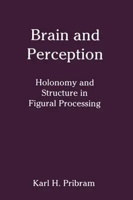 Gehirn und Wahrnehmung: Holonomie und Struktur in der figuralen Verarbeitung - Brain and Perception: Holonomy and Structure in Figural Processing
