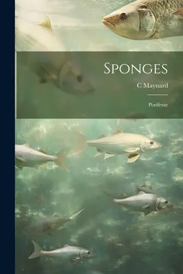 Schwämme; Poriferen - Sponges; Poriferae
