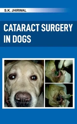 Kataraktchirurgie bei Hunden - Cataract Surgery in Dogs