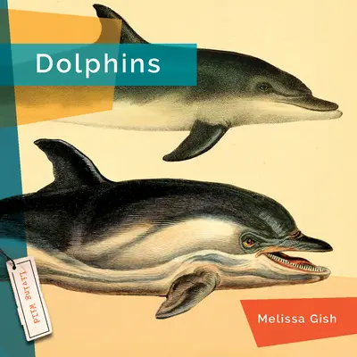 Delfine - Dolphins