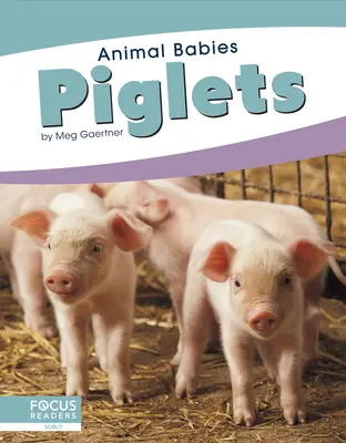 Ferkel - Piglets