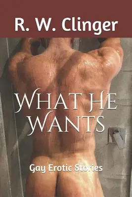 Was er will: Schwule erotische Geschichten - What He Wants: Gay Erotic Stories