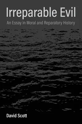 Das unwiederbringliche Übel: Ein Essay über Moral und Wiedergutmachungsgeschichte - Irreparable Evil: An Essay in Moral and Reparatory History