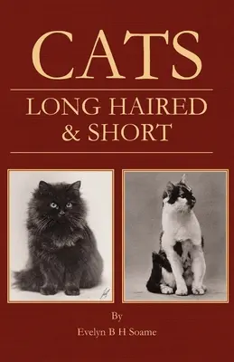 Katzen - Langhaar- und Kurzhaarkatzen - ihre Zucht, Aufzucht und Zurschaustellung - Cats - Long Haired and Short - Their Breeding, Rearing & Showing