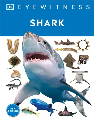 Hai: Tauchen Sie ein in die faszinierende Welt der Haie - Shark: Dive Into the Fascinating World of Sharks