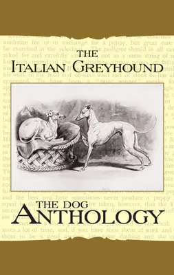 Der italienische Windhund: Eine Hunde-Anthologie - The Italian Greyhound: A Dog Anthology