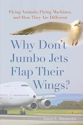 Warum schlagen Jumbo-Jets nicht mit den Flügeln? Fliegende Tiere, fliegende Maschinen und wie sie sich unterscheiden - Why Don't Jumbo Jets Flap Their Wings?: Flying Animals, Flying Machines, and How They Are Different