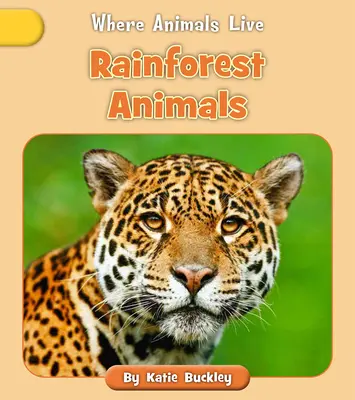 Regenwald-Tiere - Rainforest Animals