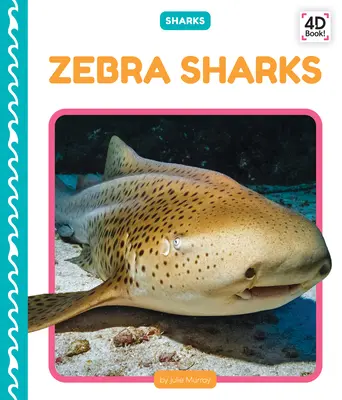 Zebrahaie - Zebra Sharks