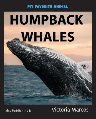 Mein Lieblingstier: Buckelwale - My Favorite Animal: Humpback Whales