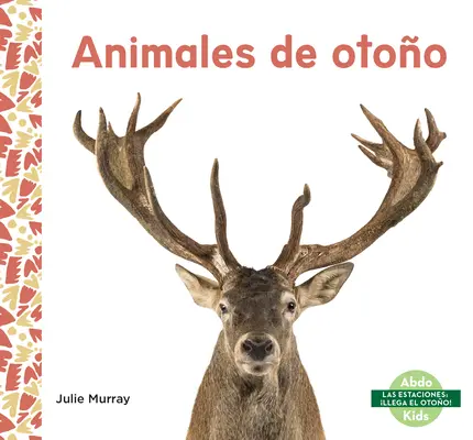 Tiere von Otoo - Animales de Otoo