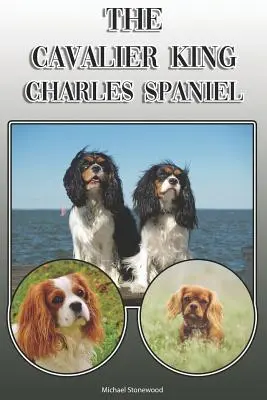 Der Cavalier King Charles Spaniel: Ein komplettes und umfassendes Handbuch für den Besitzer: Kaufen, Besitzen, Gesundheit, Pflege, Training, Gehorsam, Verstehen - The Cavalier King Charles Spaniel: A Complete and Comprehensive Owners Guide To: Buying, Owning, Health, Grooming, Training, Obedience, Understanding