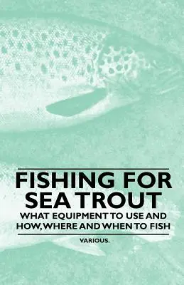 Angeln auf Meerforelle - Welche Ausrüstung man braucht und wie, wo und wann man angelt - Fishing for Sea Trout - What Equipment to Use and How, Where and When to Fish