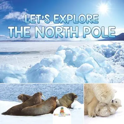 Erforschen wir den Nordpol - Let's Explore the North Pole