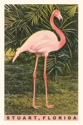 Weinleseblatt Flamingo, Stuart, Florida - Vintage Journal Flamingo, Stuart, Florida