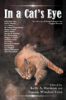 Im Auge einer Katze - In a Cat's Eye