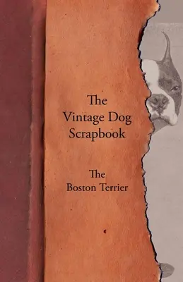 Das alte Hunde-Scrapbook - Der Boston Terrier - The Vintage Dog Scrapbook - The Boston Terrier