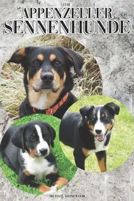 Der Appenzeller Sennenhund: Ein komplettes und umfassendes Handbuch für den Besitzer: Kaufen, Besitzen, Gesundheit, Pflege, Training, Gehorsam, Verstehen und - The Appenzeller Sennenhunde: A Complete and Comprehensive Owners Guide To: Buying, Owning, Health, Grooming, Training, Obedience, Understanding and