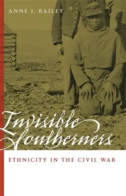 Unsichtbare Südstaatler: Ethnizität im Bürgerkrieg - Invisible Southerners: Ethnicity in the Civil War