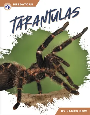 Vogelspinnen - Tarantulas