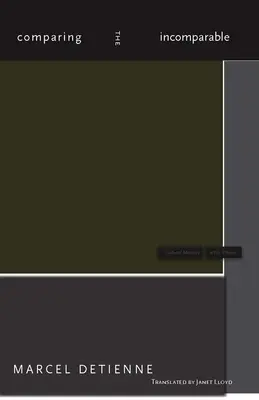 Der Vergleich der Unvergleichlichen - Comparing the Incomparable