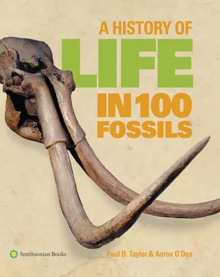 Eine Geschichte des Lebens in 100 Fossilien - A History of Life in 100 Fossils
