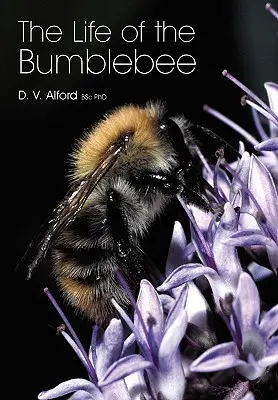 Das Leben der Hummel - The Life of the bumblebee