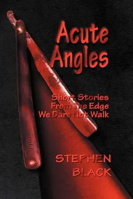 Akute Winkel: Kurzgeschichten von der Grenze, die wir nicht zu überschreiten wagen - Acute Angles: Short Stories from the Edge We Dare Not Walk