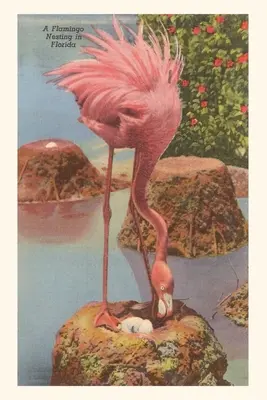 Jahrgangsjournal Flamingo nistet in Florida - Vintage Journal Flamingo Nesting in Florida
