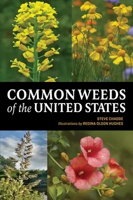 Gewöhnliche Unkräuter in den Vereinigten Staaten - Common Weeds of the United States