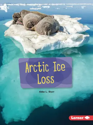 Arktischer Eisverlust - Arctic Ice Loss