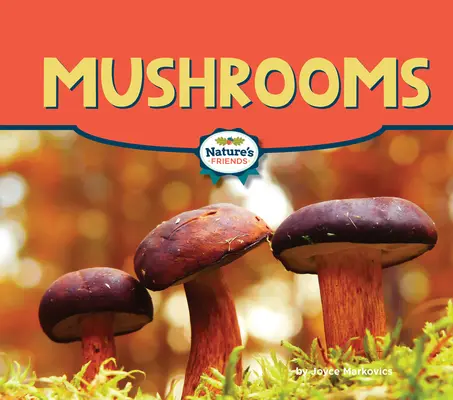 Pilze - Mushrooms