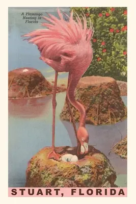 Jahrgangsjournal Flamingo nistet in Stuart, Florida - Vintage Journal Flamingo Nesting in Stuart, Florida