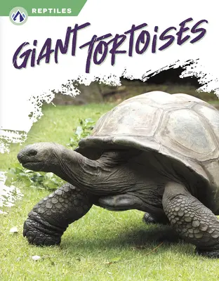 Riesenschildkröten - Giant Tortoises