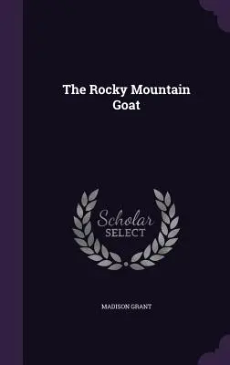 Die Rocky Mountain Ziege - The Rocky Mountain Goat