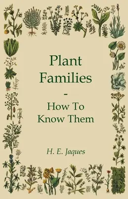 Pflanzenfamilien - wie man sie kennen lernt - Plant Families - How To Know Them