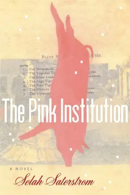 Die rosa Anstalt - The Pink Institution