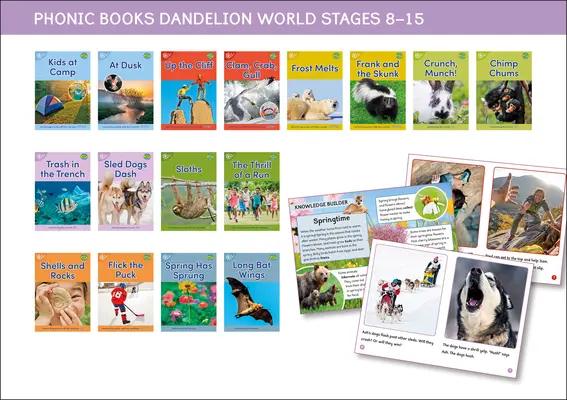 Phonic Books Dandelion World Stages 8-15 (Wörter mit vier Lauten CVCC) - Phonic Books Dandelion World Stages 8-15 (Words with Four Sounds CVCC)