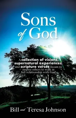 Söhne Gottes: Eine Sammlung von Visionen, übernatürlichen Erfahrungen und Bibelversen, die andere dazu inspirieren sollen, in voller Beziehung zu Gott zu leben - Sons of God: A collection of visions, supernatural experiences, and scripture verses meant to inspire others to walk in full relati