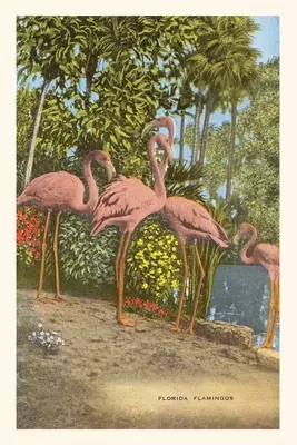 Weinlese-Journal Flamingos, Florida - Vintage Journal Flamingos, Florida
