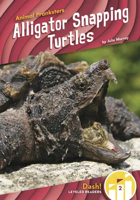 Alligator-Schnappschildkröten - Alligator Snapping Turtles