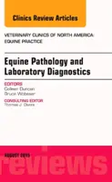 Pferdepathologie und Labordiagnostik, eine Ausgabe von Veterinary Clinics of North America: Pferdepraxis (Duncan Colleen (Colorado State)) - Equine Pathology and Laboratory Diagnostics, An Issue of Veterinary Clinics of North America: Equine Practice (Duncan Colleen (Colorado State))