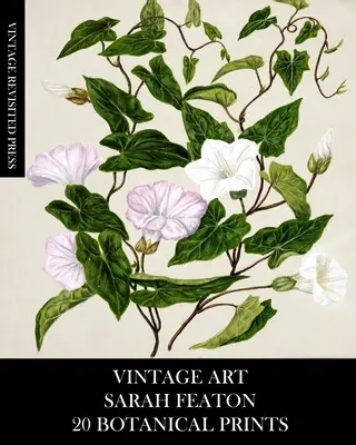 Vintage-Kunst: Sarah Featon: 20 botanische Drucke - Vintage Art: Sarah Featon 20 Botanical Prints